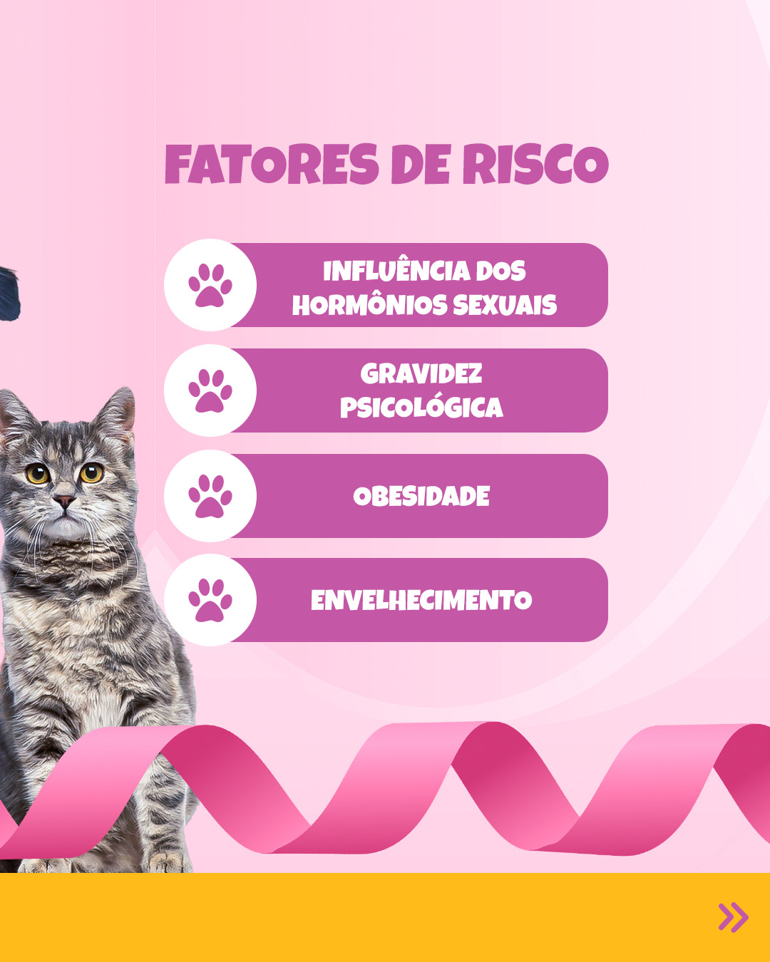 outubro-rosa-carrossel-copiar_02