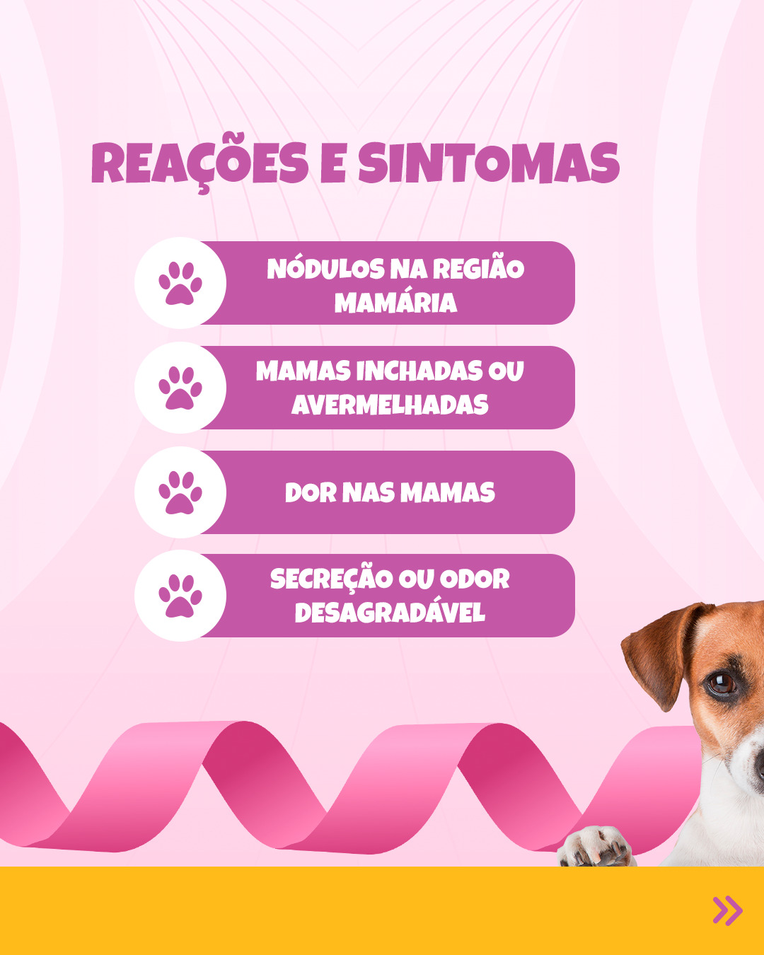 outubro-rosa-carrossel-copiar_03